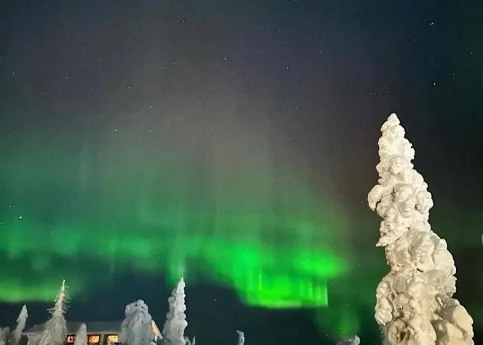 Levi And Sky Luxury 木屋