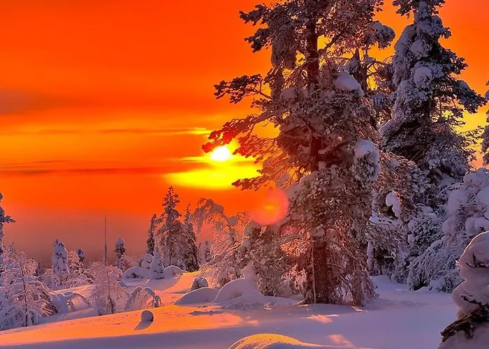 木屋 Levi And Sky Luxury 基蒂莱